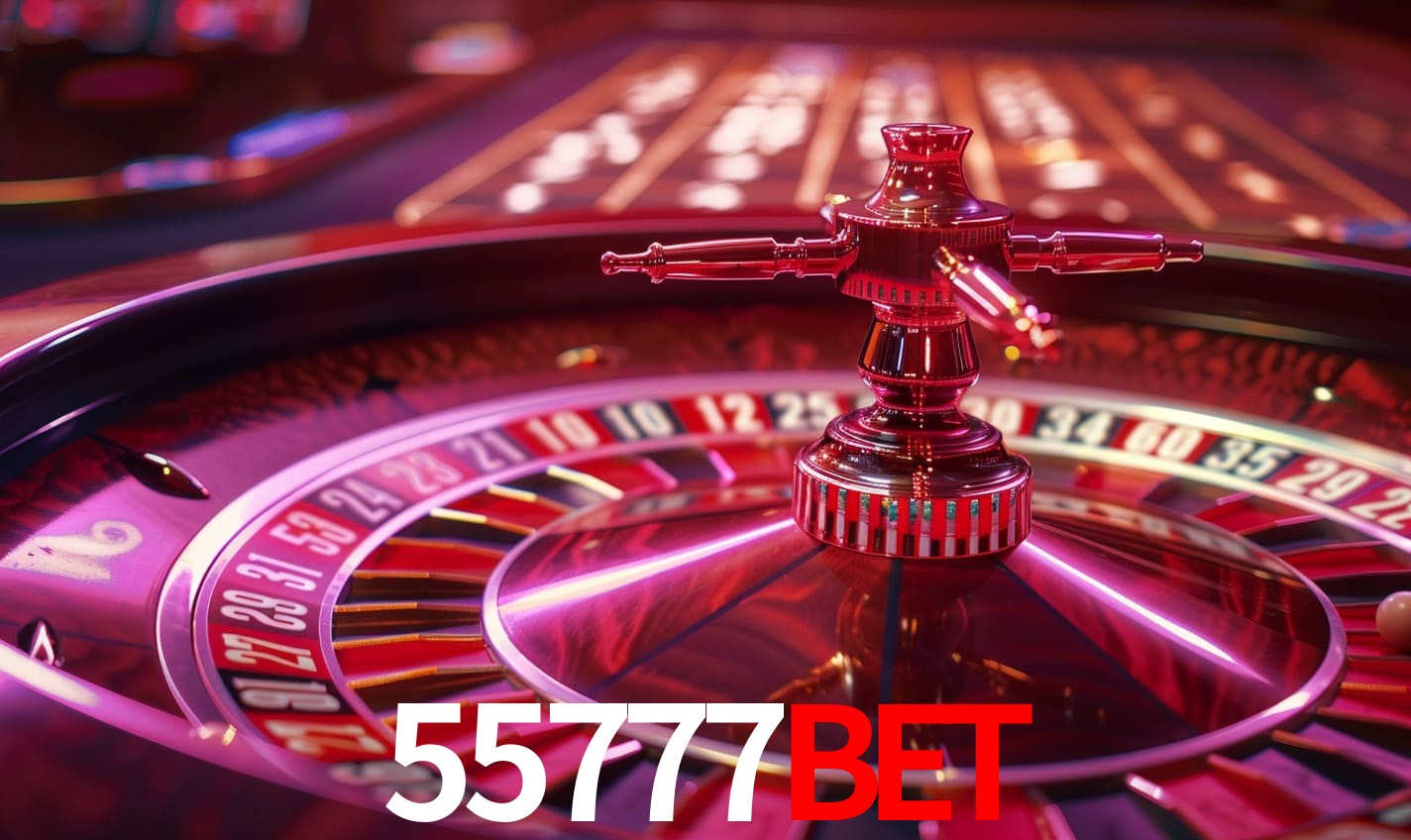 Interface Premium 55777BET